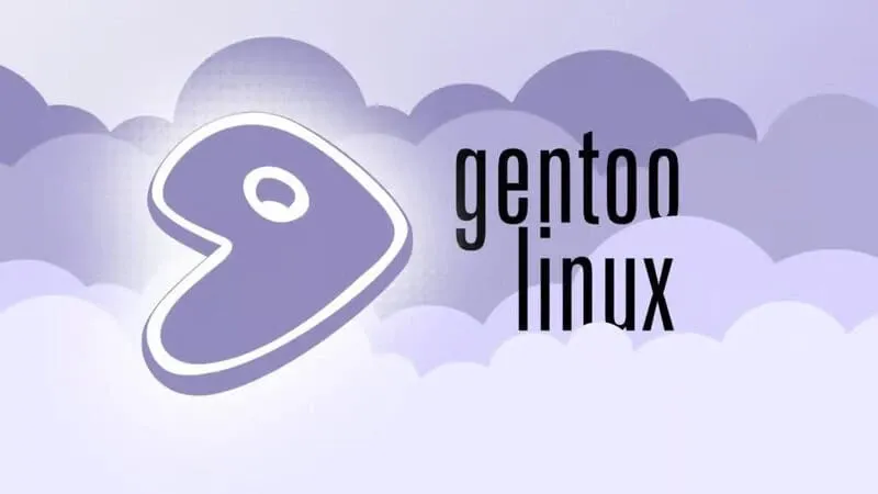 ¿Por qué debes elegir Gentoo para tus servidores?